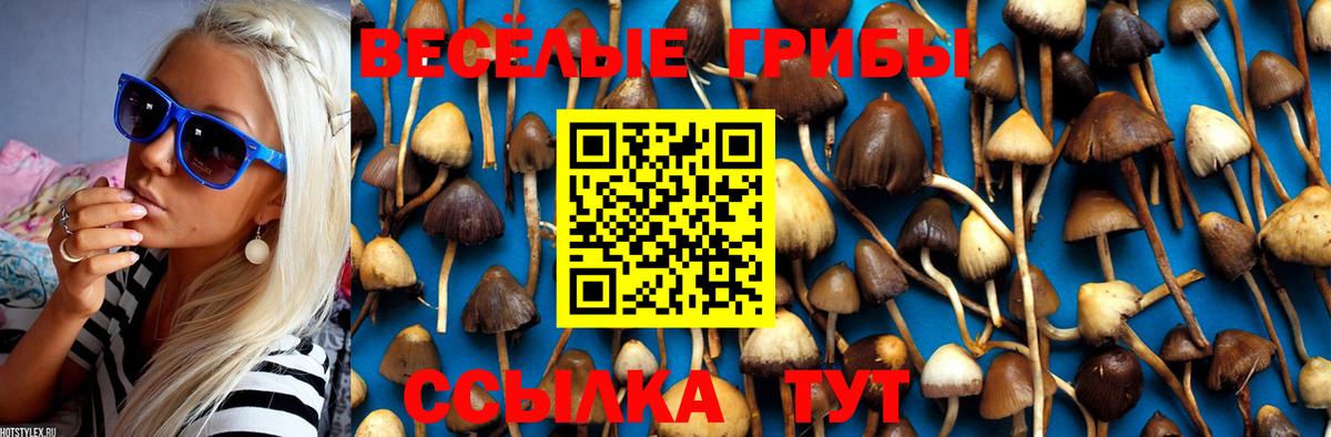 Галлюциногенные грибы Magic Shrooms Лиски
