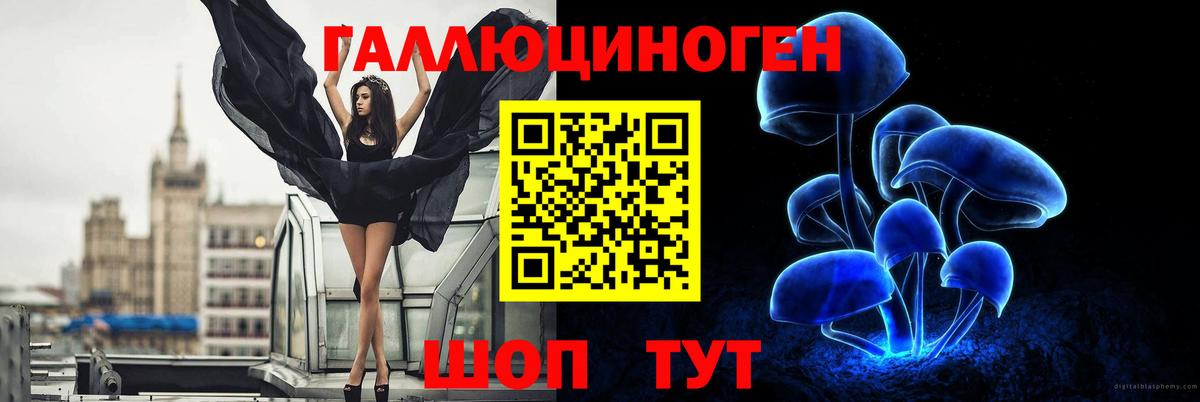 Галлюциногенные грибы MAGIC MUSHROOMS  Вход с VPN  Лиски 